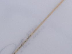 �|���G�X�e�� �{�g�� 2_4